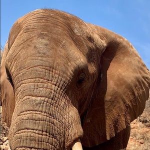 Meet your Posher, Liz